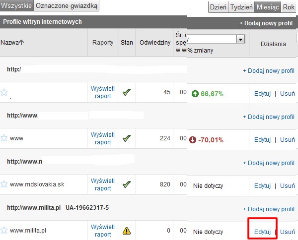 profile witrin internetowych w Google Analytics - Edytuj